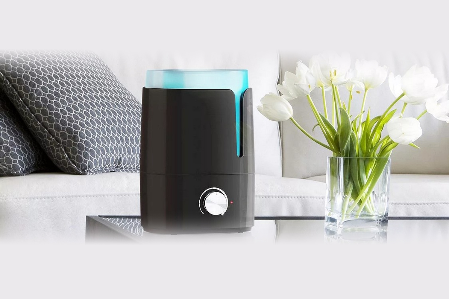 8 веских причин увлажнять воздух дома